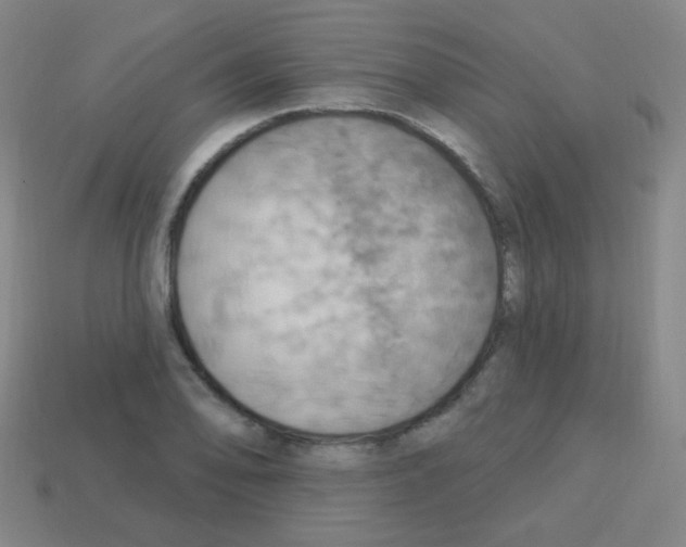 X0000113231078200910221034