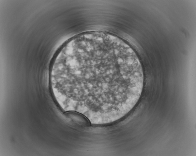 X0000113231079200910221034