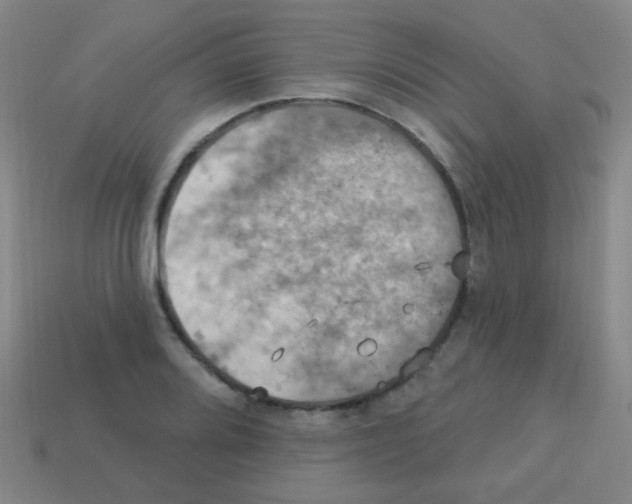 X0000113231080200910221034