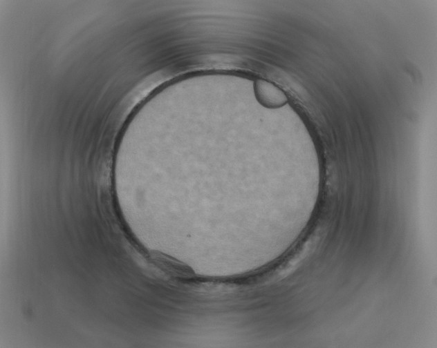 X0000113231081200910221034