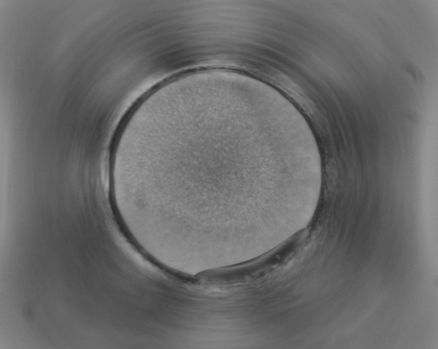 X0000113231084200910221034