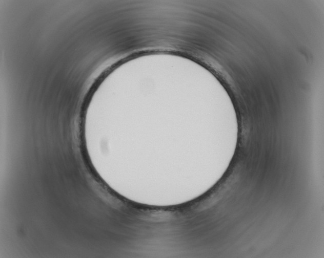 X0000113231085200910221034