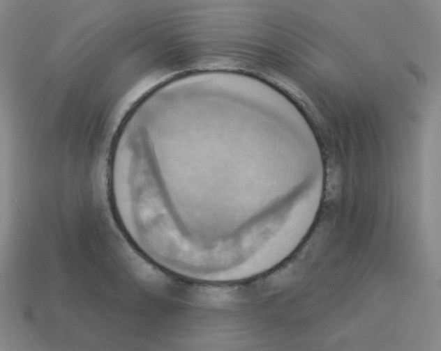 X0000113231086200910221034