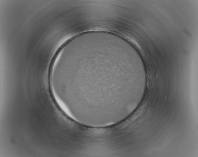 X0000113231087200910221034