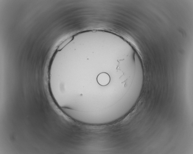 X0000113231088200910221034