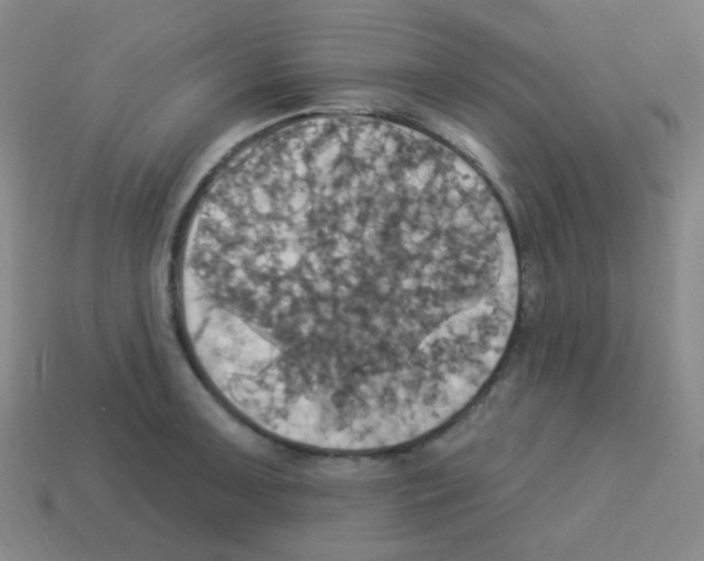 X0000113231091200910221034