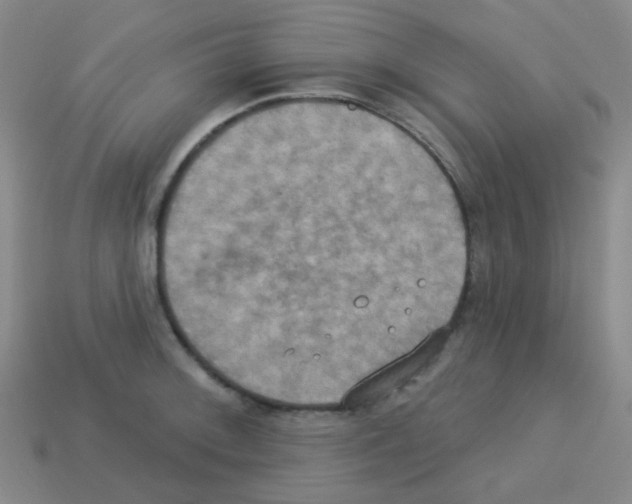 X0000113231092200910221034