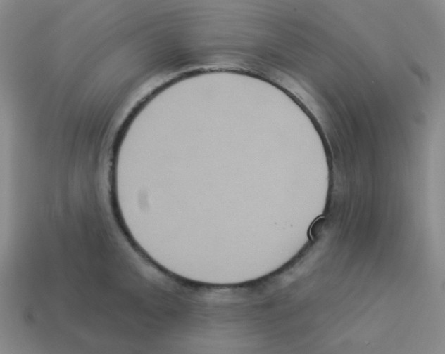 X0000113231093200910221034