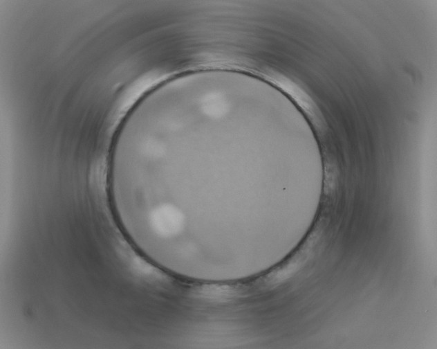 X0000113231094200910221034