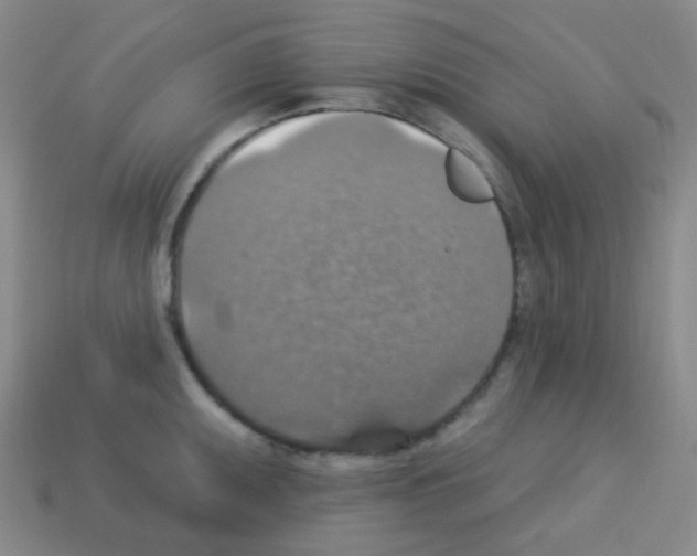 X0000113231095200910221034