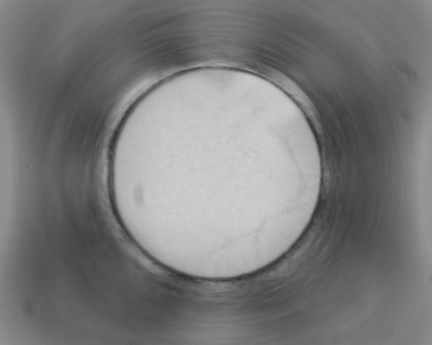 X0000113231096200910221034