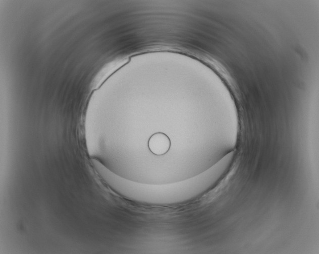 X0000113231097200910221034