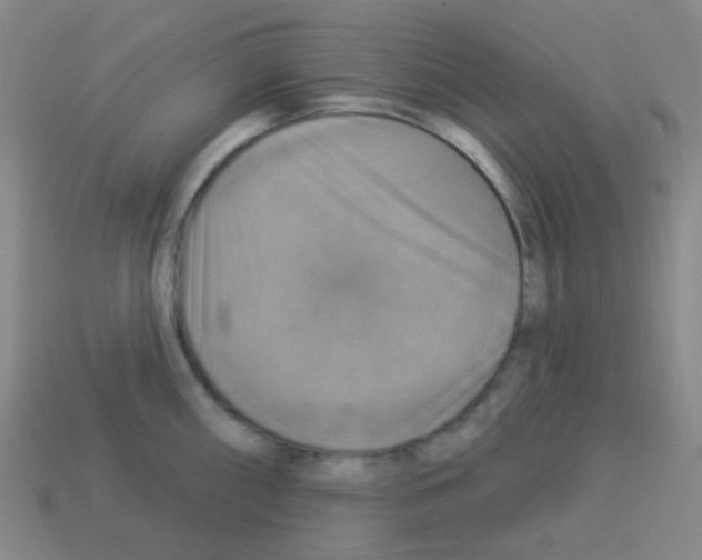 X0000113231098200910221034