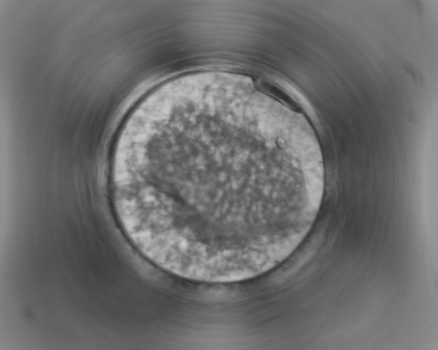 X0000113231099200910221034