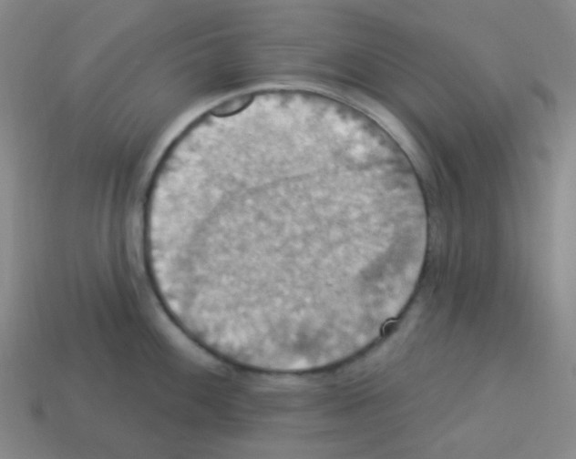 X0000113231100200910221034