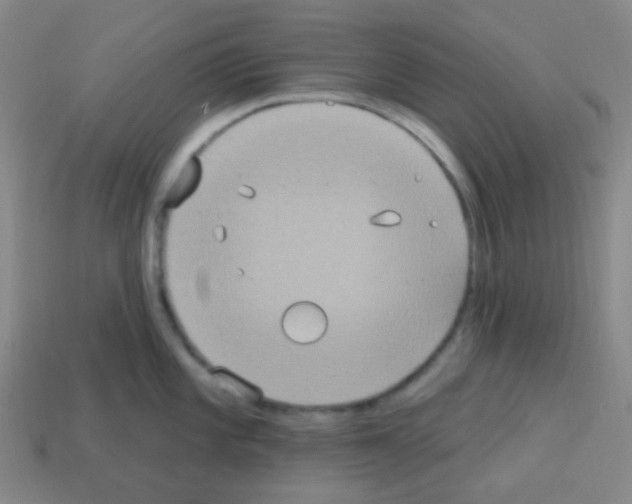 X0000113231101200910221034