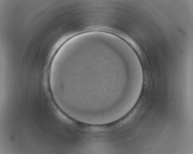 X0000113231102200910221034