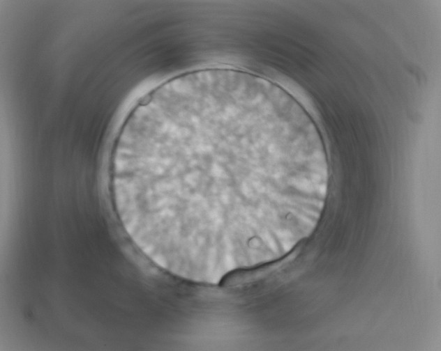 X0000113231104200910221034