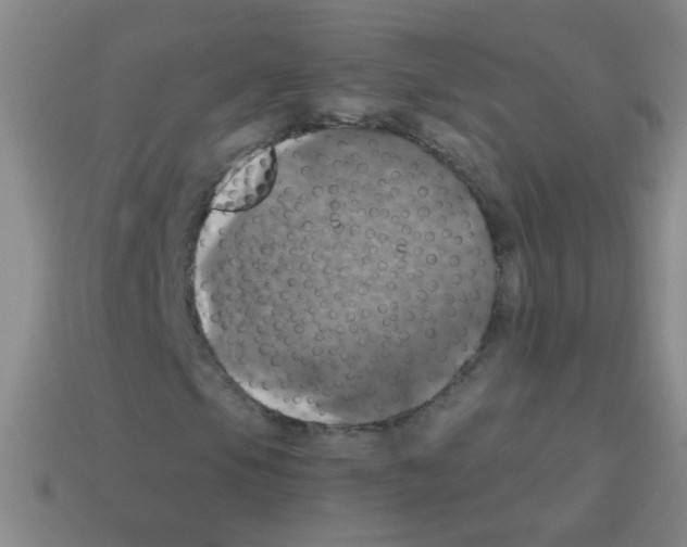 X0000113231105200910221033