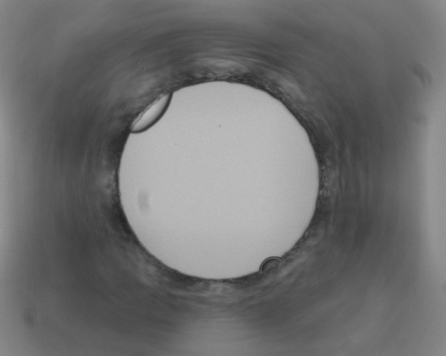 X0000113231109200910221033