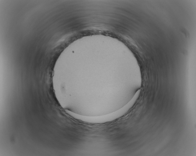 X0000113231110200910221033