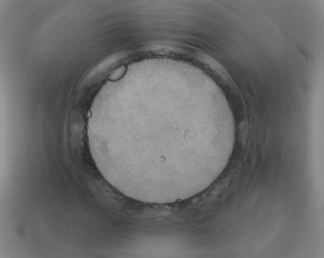 X0000113231111200910221033