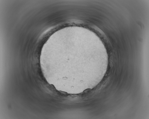 X0000113231112200910221033