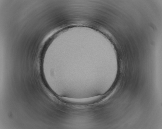 X0000113231114200910221033