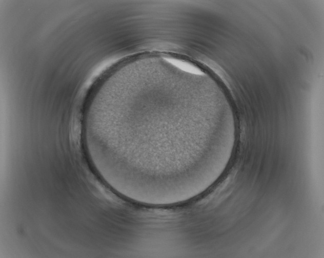 X0000113231115200910221034