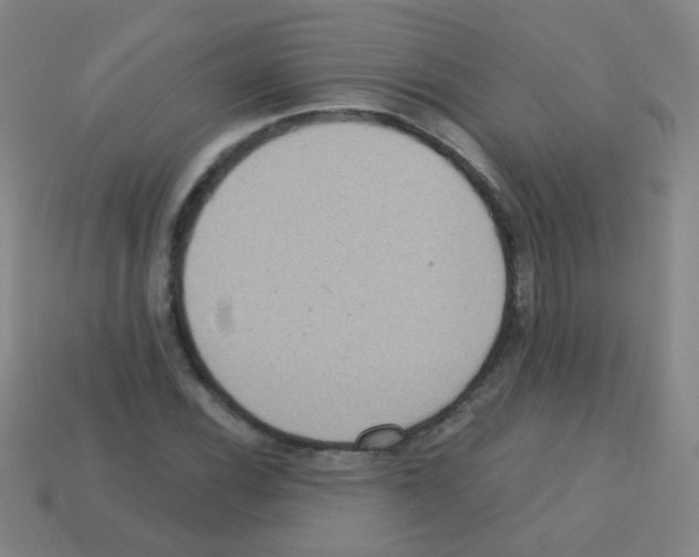 X0000113231116200910221034