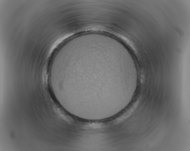 X0000113231117200910221034