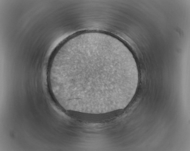 X0000113231120200910221034