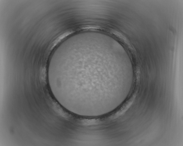 X0000113231121200910221034