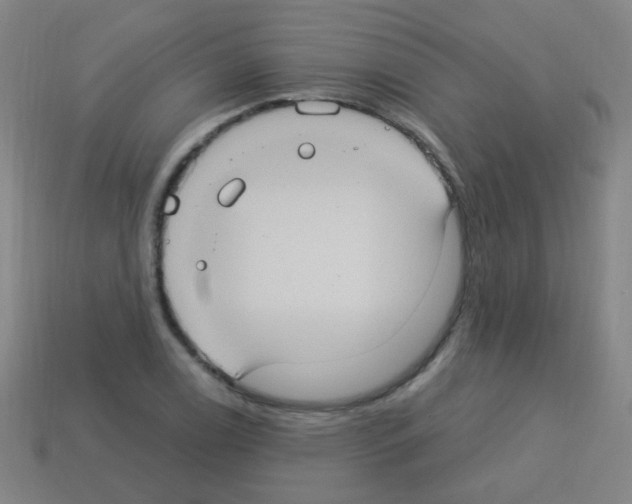 X0000113231122200910221034