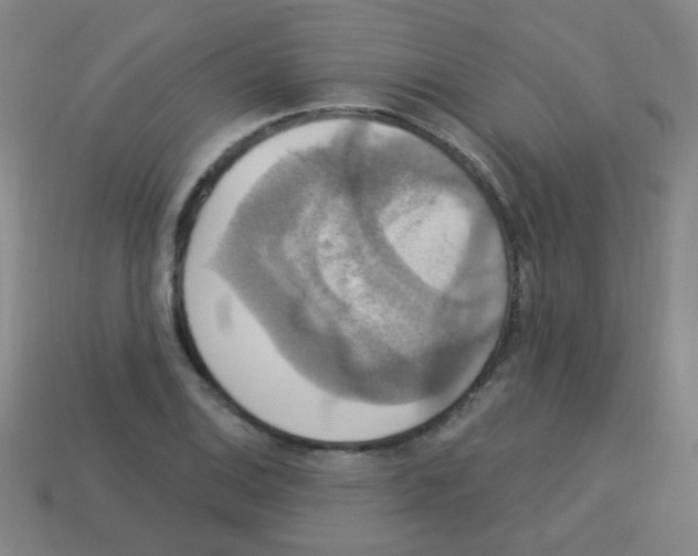 X0000113231124200910221034