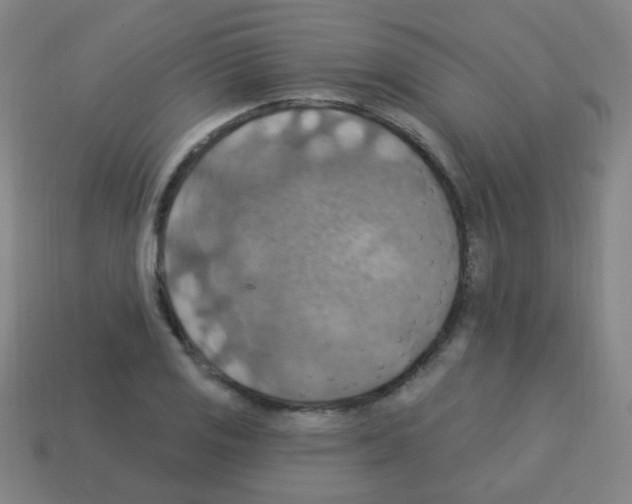 X0000113231125200910221034