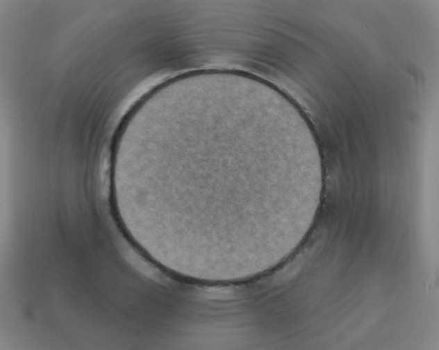 X0000113231126200910221034