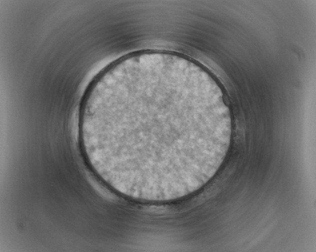 X0000113231128200910221034