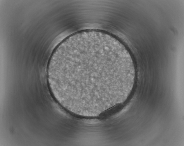 X0000113231129200910221034