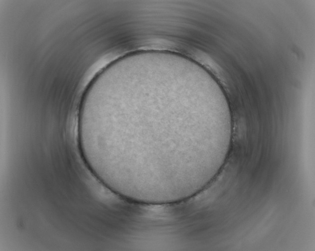 X0000113231130200910221034