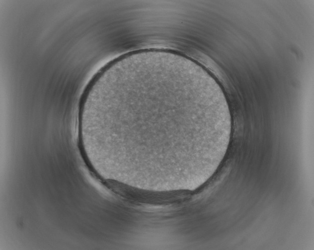 X0000113231132200910221034