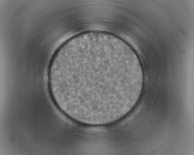 X0000113231133200910221034