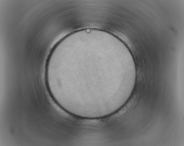 X0000113231135200910221034