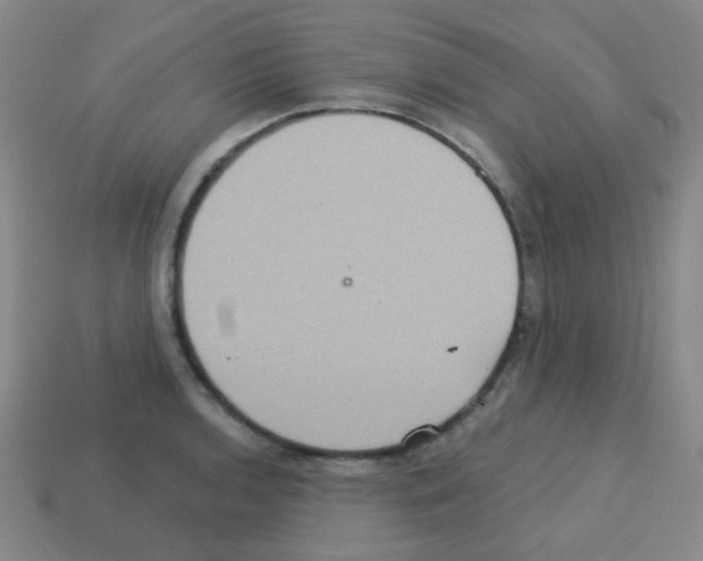 X0000113231136200910221034