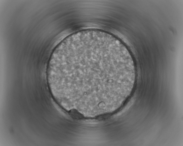 X0000113231137200910221034