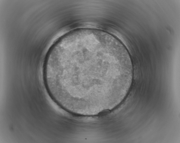 X0000113231139200910221034