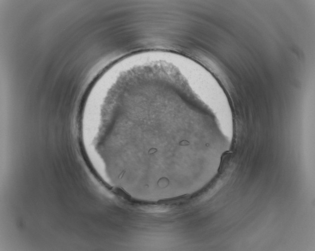 X0000113231141200910221034