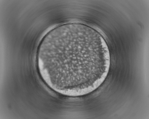 X0000113231142200910221034