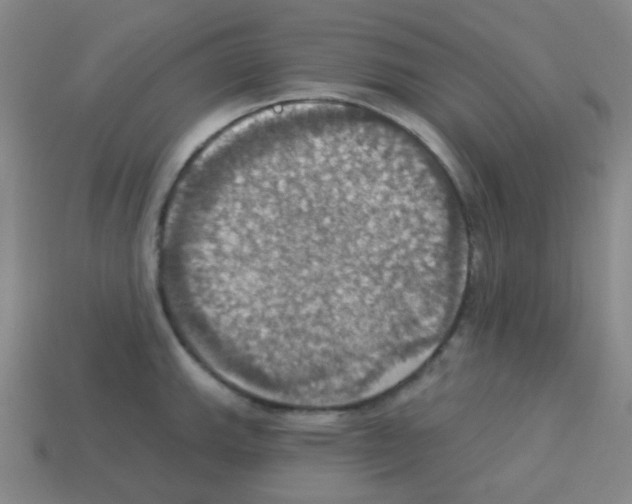 X0000113231143200910221034