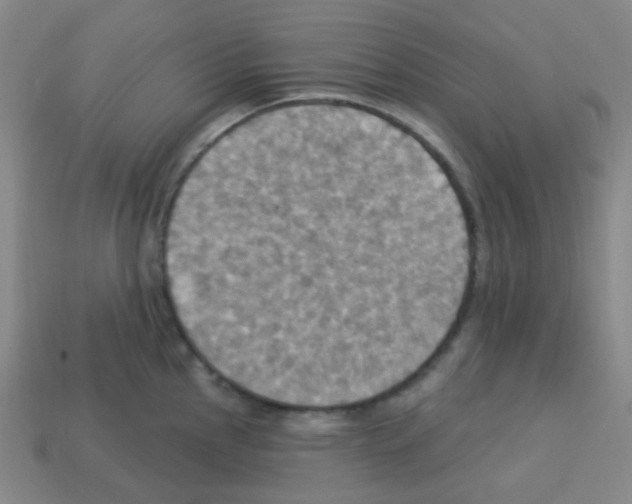 X0000113231145200910221034